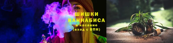 сатива Богородск