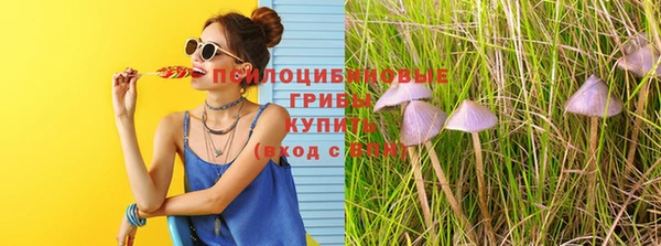 прущие крисы Богородицк