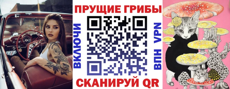 Галлюциногенные грибы Psilocybe  как найти   Нерчинск 